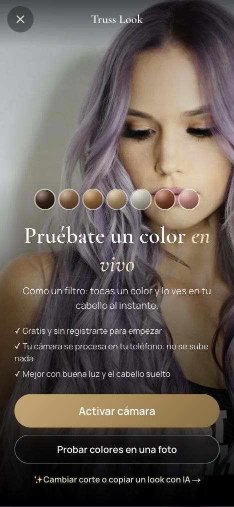 Probador de color en vivo